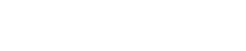 HAVAS LOGO W